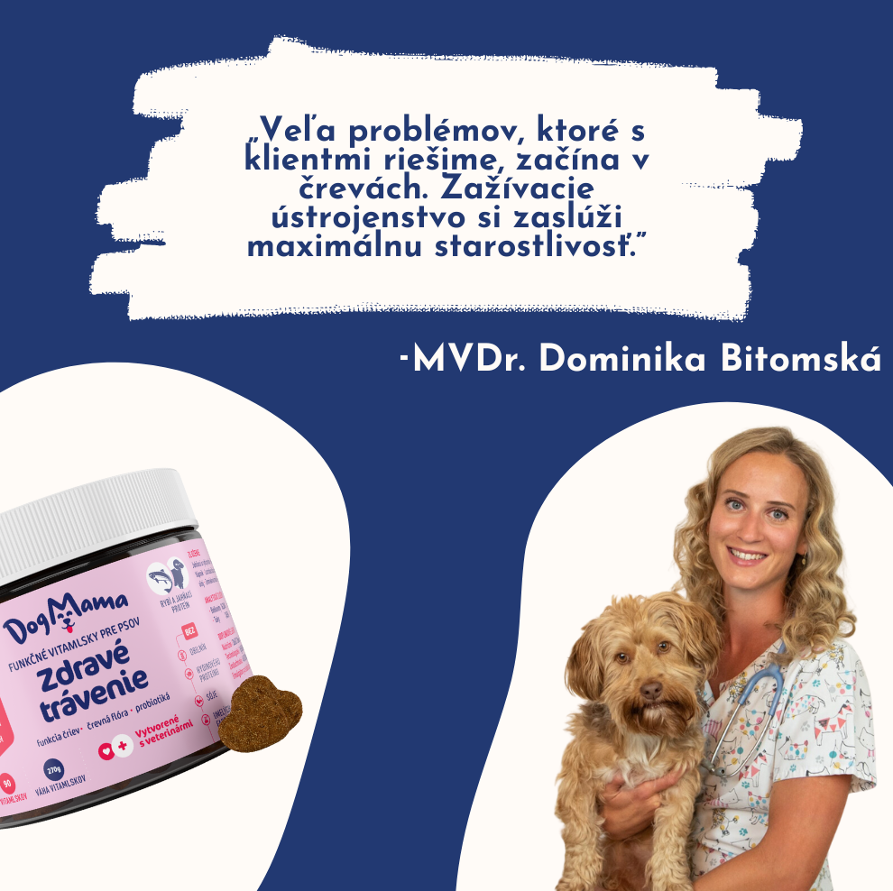 Zdravé trávenie + Probiotiká