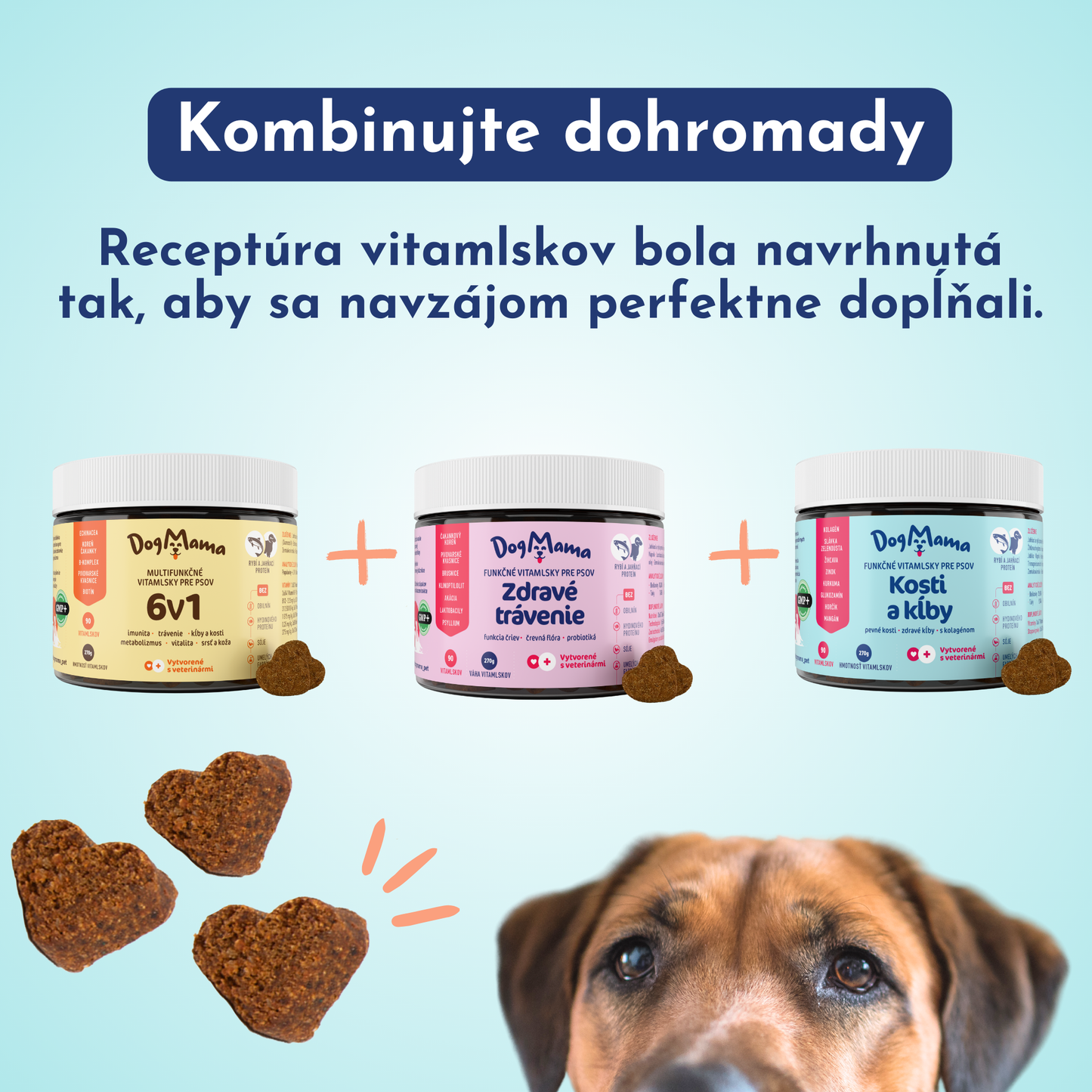 Zdravé trávenie + Probiotiká